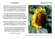 Die-Sonnenblume-Däubler.pdf